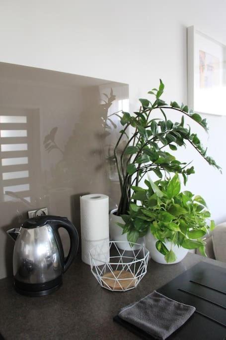 Uroczy, Jasny Apartament Oraz Bezplatny Parking! Apartment Krakow Exterior photo